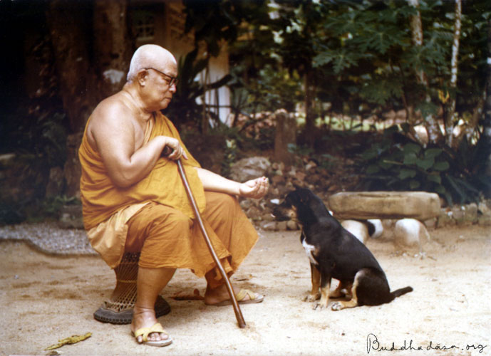 พระธรรมโกษาจารย์ (เงื่อม อินฺทปญฺโญ) พุทธทาสภิกขุ