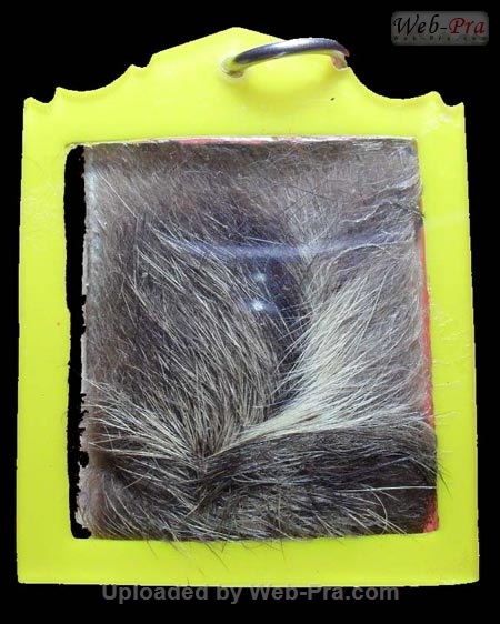 รูปถ่ายต่างๆ หลวงพ่อคง วัดวังสรรพรส (รูปถ่าย)