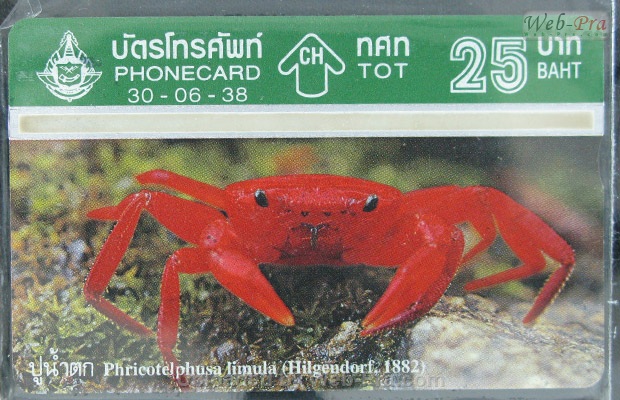 ปี 2538 ชุดบัตร ปู บัตรโทรศัพท์ไทย (-)