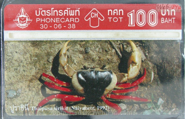 ปี 2538 ชุดบัตร ปู บัตรโทรศัพท์ไทย (-)