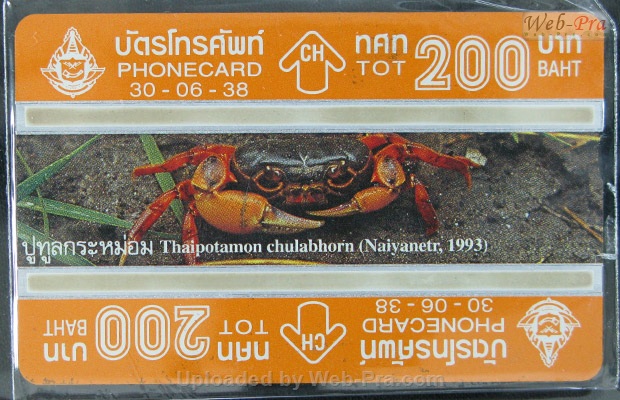 ปี 2538 ชุดบัตร ปู บัตรโทรศัพท์ไทย (-)