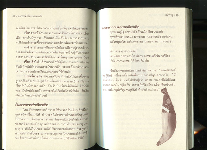 หนังสือ อาถรรพ์ เครื่องรางของขลัง  (เครื่องรางของขลัง ยอดนิยม)