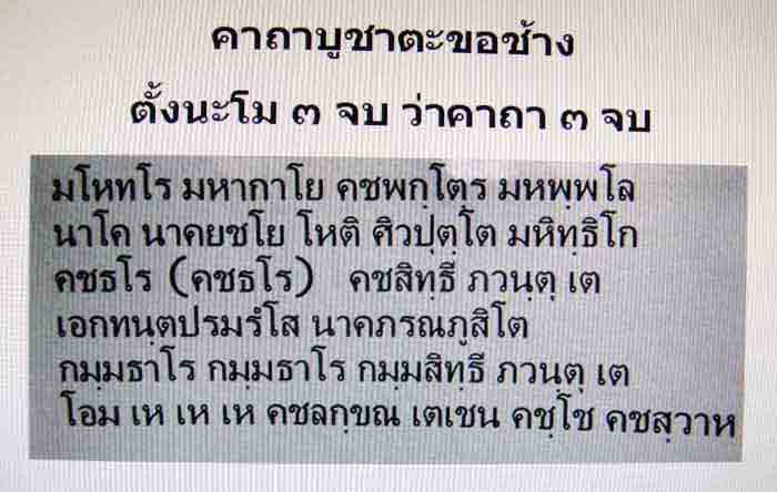 ***ตะขอช้างเล็กพิเศษ *** ((( พิเศษอันเล็กพืเศษสำหรับพกพา)))***