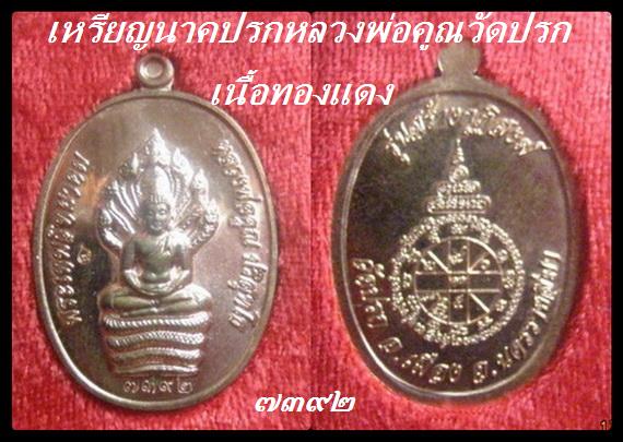 เหรียญนาคปรกหลวงพ่อคูณปลุกเสกวัดปรกเนื้อทองแดง2เหรียญ