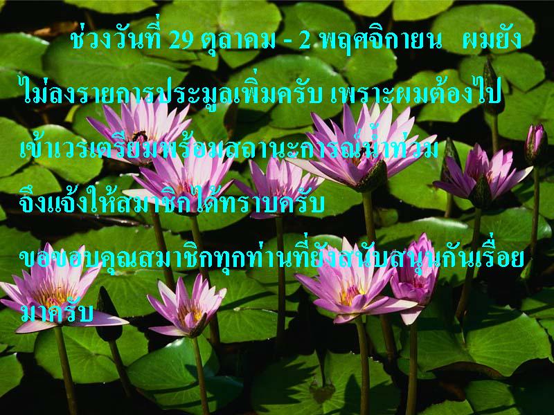 "จ่าสันต์" แดงเคาะเดียว/เหรียญหลวงพ่อโสธร  หลังยันต์ วัดโสธรวรารามวรวิหาร ฉะเชิงเทรา