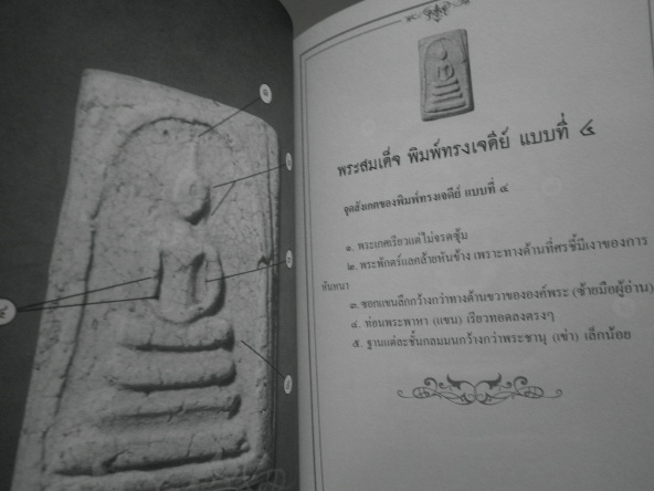 !!หนังสือเซียนส่องพระเบญจภาคีรวบรวมข้อมูลอย่างละเอียดพร้อมตำหนิครับ120 -