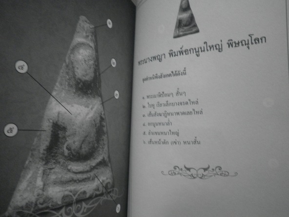 !!หนังสือเซียนส่องพระเบญจภาคีรวบรวมข้อมูลอย่างละเอียดพร้อมตำหนิครับ120 -