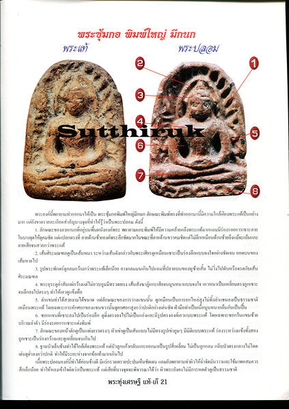 หนังสือ ข้อแตกต่างระหว่าง พระกรุทุ่งเศรษฐี พระซุ้มกอ-พระลีลาเม็ดขนุน-พระพลูจีบ-พระกลีบจำปา แท้ & เก๊