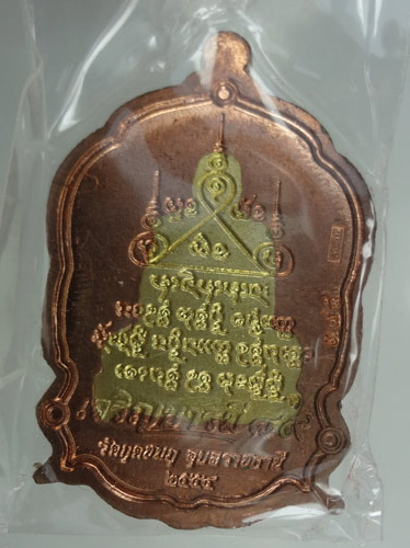 หลวงปู่คำบุ วัดกุดชมพู รุ่นเจริญบารมี 89 เนื้อหลังนวะ ขอบอัลปาก้า องค์ทองทิพย์ แยกจากชุดกรรมการ 