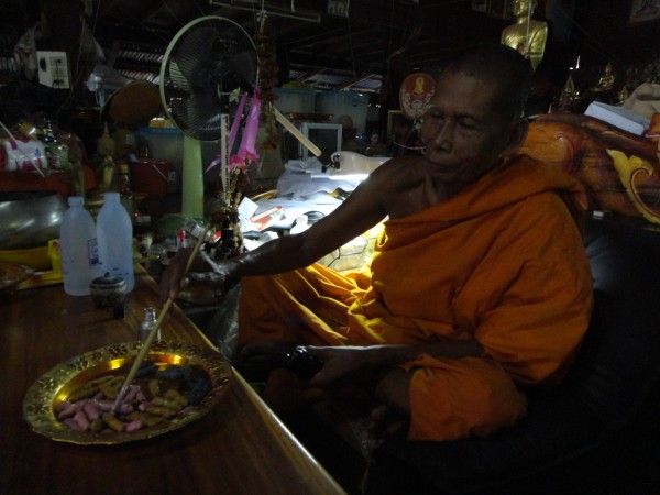 ปลัดหัวชะมดเนื้อสีชมพูหลวงพ่อเอิบ วัดซุ้มกระต่าย (หนองหม้อแกง)จ ชัยนาท