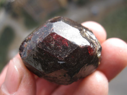 โกเมนธรรมชาติ (NATURAL Red GARNET)