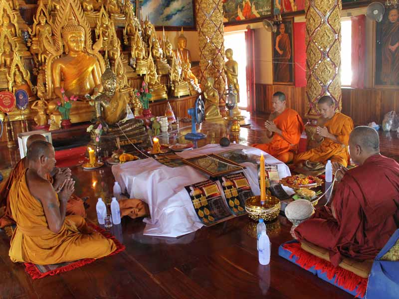 พญาเต่าเรือนปลดหนี้ เนื้อทองแดง หลวงพ่อเพชร วัดไทรทองพัฒนา จ.กาญจนบุรี