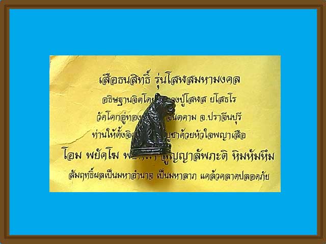 ***เสือโลหะธนสิทธิ์ เนื้อเมฆพัตร หลงปู่โสฬส ยโสธโร วัดโคกอู่ทอง ปราจีนบุรี***