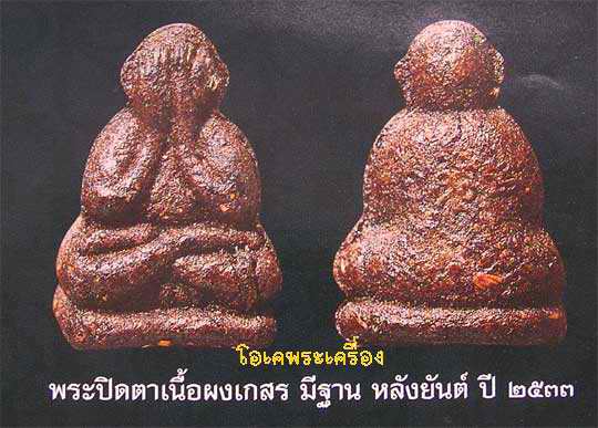 10 องค์ ปิดตาเนื้อชานหมาก มีฐา น หลวงปู่คำพัน ปี 33