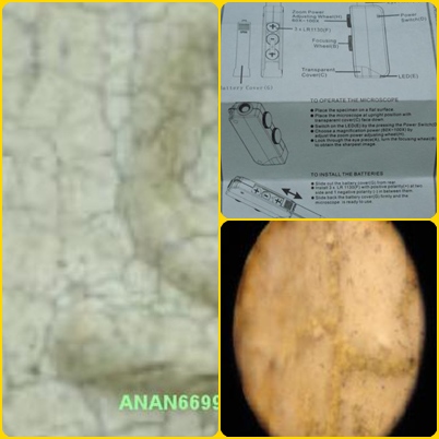   กล้องจุลทัศน์ microscope zoom 60x-100x Zoom Zoom .เคาะเดีย ว 