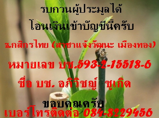 ลพ.ฑูรย์  วัดโพธิ์นิมิตร ตลาดพลู  ปี 18