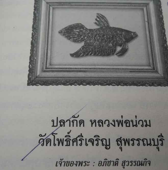 ปลากัด หลวงพ่อน่วม วัดโพธิ์ศรีเจริญ อ.ศรีประจันต์ จ.สุพรรณบุรี ตัวที่ 2