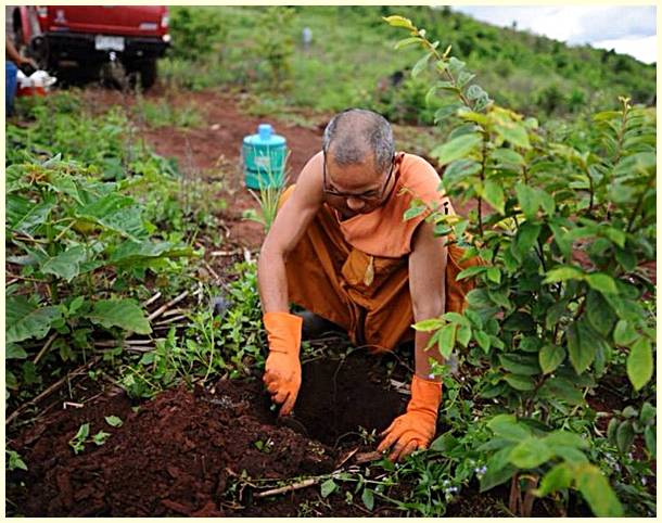 พระมหาสติปัฏฐาน ๔ เวทนา จิต กาย ธรรม หลวงปู่พุทธอิสระ วัดอ้อน้อย จ.นครปฐม ปี2545 พร้อมบัตรรับรอง