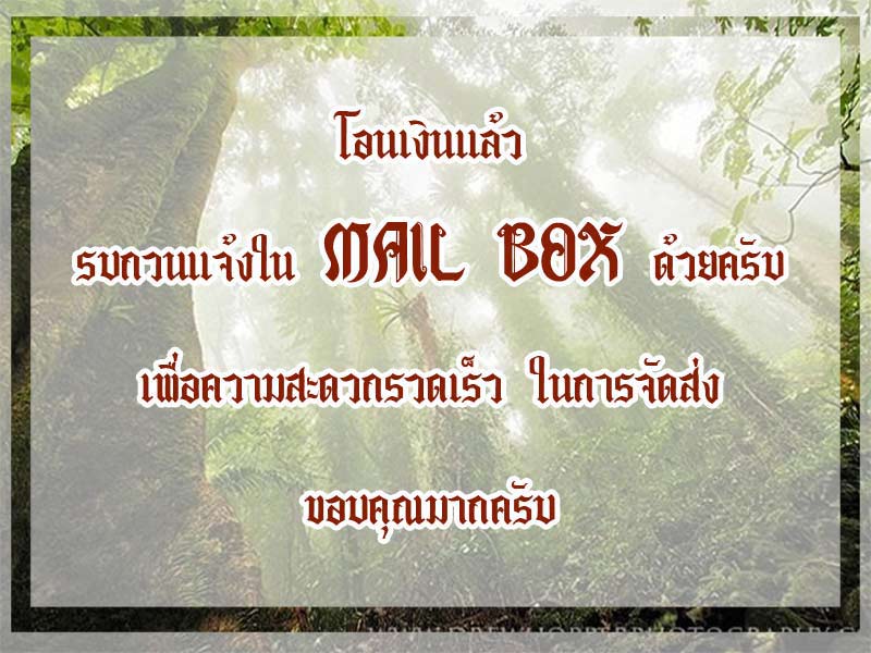 เหรียญรุ่นแรก หลวงพ่อสาย ณ พระพุทธอุทยาน พระธาตุดอยทับช้าง จ.ประจวบคีรีขันธ์ เนื้อทองแดงรมดำ 