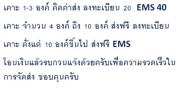 ปิดตาจัมโบ้หลวงพ่อพุธ ฐานิโย วัดป่าสาลวัน นครราชสีมา