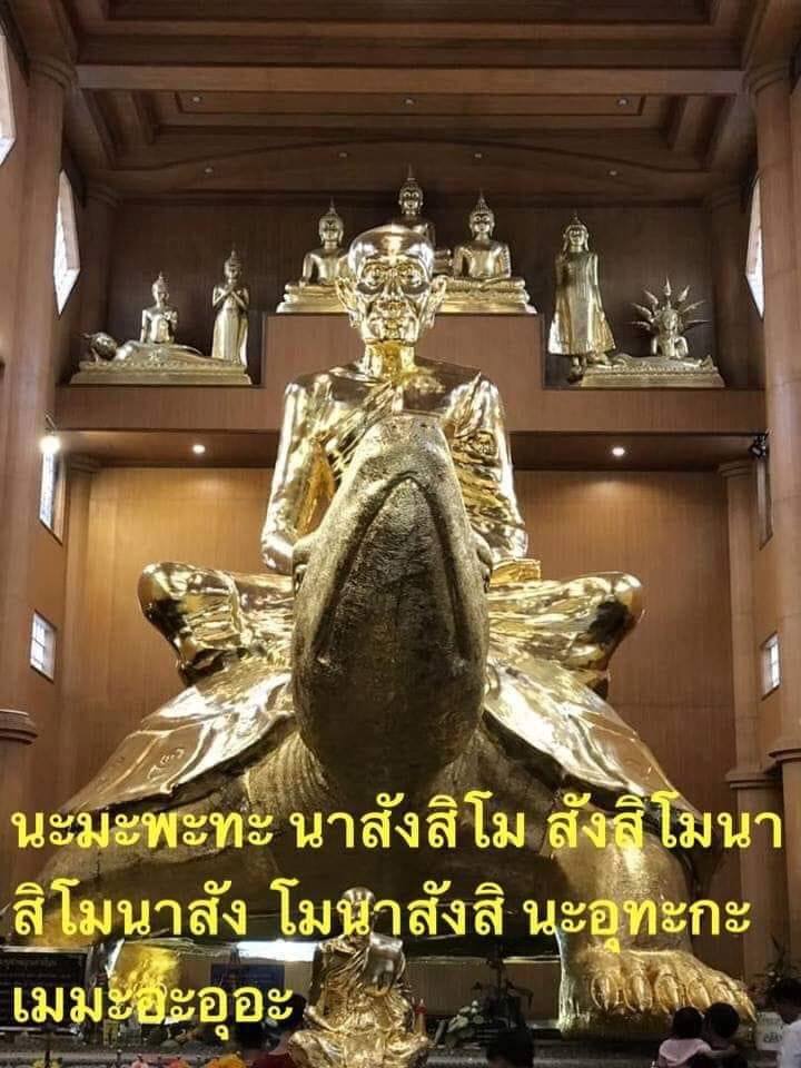 พญาเต่าเรือนหลวงปู่หลิว วัดไร่แตงทอง เนื้อผง รุ่นแรก เสาร์5  รุ่น รุ่งเรือง ปี 2539