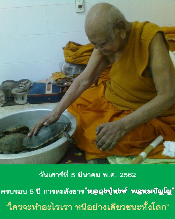 พญาเต่ากัสสโป หลวงปู่หงษ์ พรหมปัญโญ ขนาดบูชา รุ่นนั่งรวย ปี 2546 