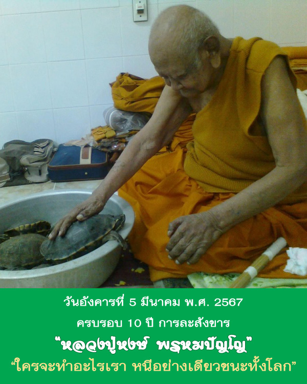 พญาเต่ากัสสโป หลวงปู่หงษ์ พรหมปัญโญ ขนาดบูชา รุ่นนั่งรวย ปี 2546 