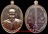 "เหรียญอายุยืน (เพิ่มบารมี)" หลวงพ่อรวย ปาสาทิโก วัดตะโก ปี ๒๕๕๕