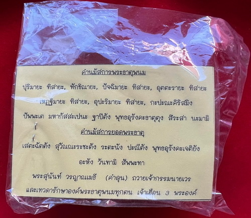 พระสมเด็จนาคปรกพระธาตุพนม รุ่นเครื่องบินตกปลอดภัย วัดพระธาตพนมวรวิหาร อ.ธาตุพนม จ.นครพนม ปี51