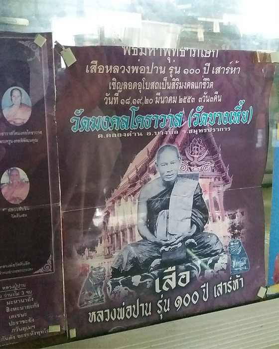 เสือไม้มะยมแกะ พิมพ์อ้าปาก ครบรอบ 100 ปี หลวงพ่อปาน วัดมงคลโคธาวาส (วัดบางเหี้ย) ปี 2553 เสาร์ 5