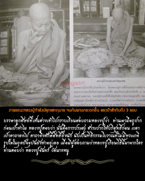 กุมารกวักทรัพย์ ปี 57 หลวงปู่โปร่ง ปืนตัน 