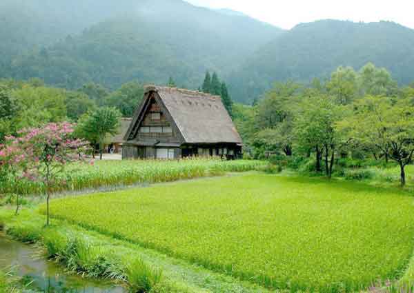 แผนที่ ร้านไตรรัตนญาณ