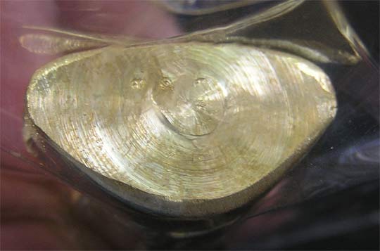 รูปเหมือนปั๊ม หลวงพ่อจรัญ รุ่น โภคทรัพย์ เนื้อทองสตางค์...สวยๆ - 3