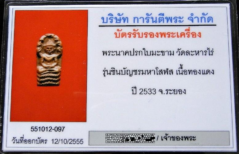 ปรกใบมะขาม วัดละหารไร่ พร้อมบัตรรับรองฯ รุ่นชินบัญชรมหาโสฬส ปี 33 เชิญชมทุกมุมครับ - 5