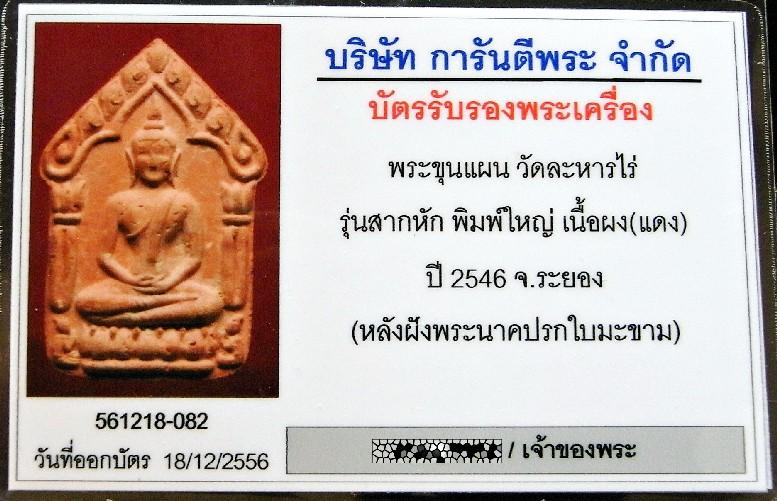 กรรมการ ขุนแผนสากหัก ฝังปรกปรโม พร้อมบัตรรับรองฯ เนื้อผงแดงอมชมพู หนาปึ้ก สวยกริบ เชิญชมทุกมุมครับ - 5