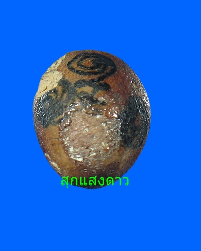 	 ปลัดขิกสาริกา(ไม้โลดทะนง) หลวงพ่อสงวนวัดไผ่พันมือ  - 3