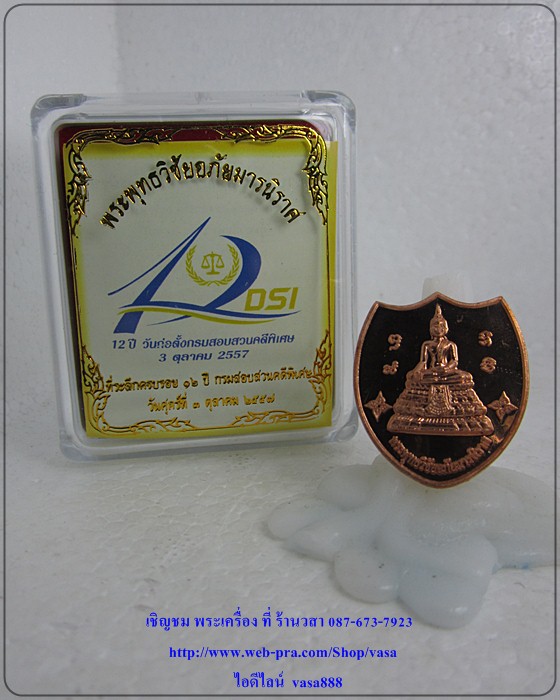 เหรียญพระพุทธวิชัยอภัยมารนิราศ DSI (เนื้อทองแดงขัดเงา) 5 - 3