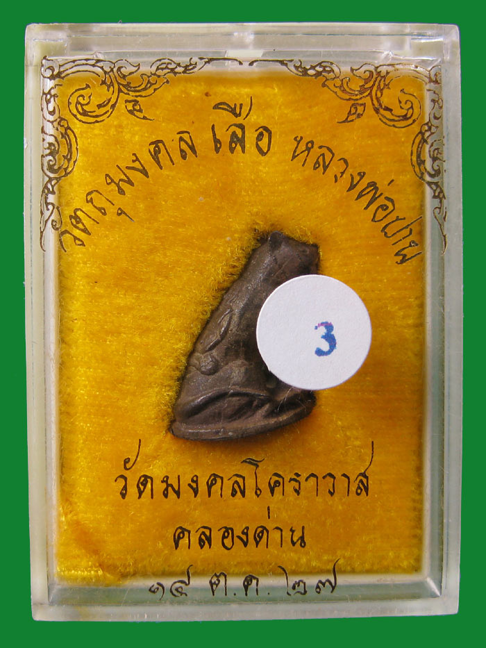 (3) เสือหลวงพ่อปาน วัดมงคลโคธาวาส (วัดบางเหี้ย) จ.สมุทรปราการ ปี 2527 เนื้อนวะโลหะ กล่องเดิม - 5