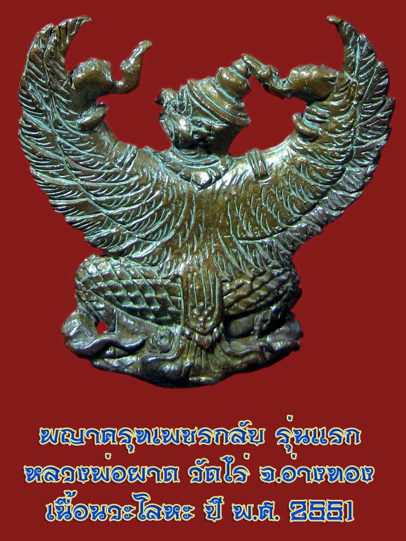 (15) พญาครุฑ รุ่น 1 (เนื้อนวโลหะ) หลวงปู่ผาด วัดไร่ อ่างทอง พ.ศ.2551 - 2