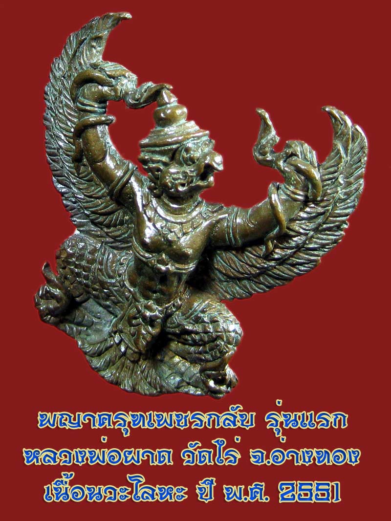 (15) พญาครุฑ รุ่น 1 (เนื้อนวโลหะ) หลวงปู่ผาด วัดไร่ อ่างทอง พ.ศ.2551 - 3