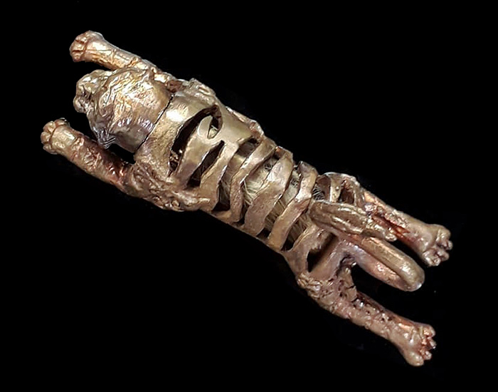 จ้าวพยัคฆ์จับเหยื่อ(ตะกรุดหนังเสือ) รุ่นไตรภาคี พระอธิการใจ วัดพระยาญาติ จ.สมุทรสงคราม ปี2554 - 3