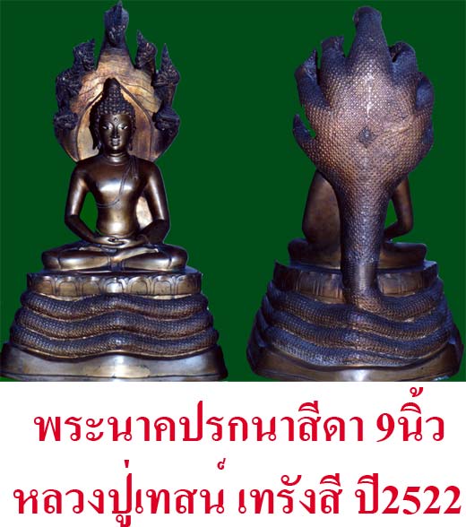 ประวัติ พระราชนิโรธรังสีคัมภีรปัญญาวิศิษฏ์ (หลวงปู่เทสก์ เทสรังสี) - 3