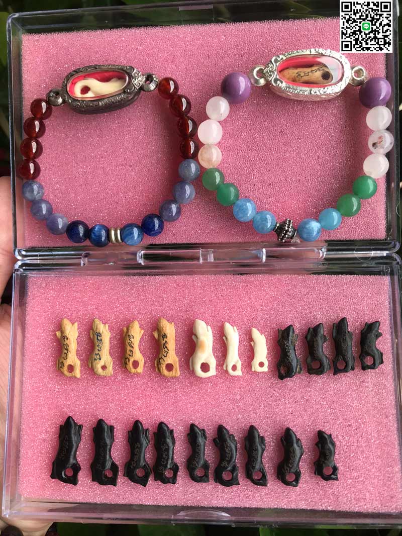 จิ้งจกหลวงปู่หน่าย วัดบ้านแจ้ง ศิลป์พิจิตร - 2