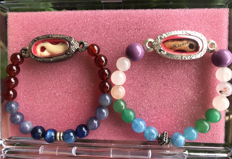 จิ้งจกหลวงปู่หน่าย วัดบ้านแจ้ง ศิลป์พิจิตร - 3