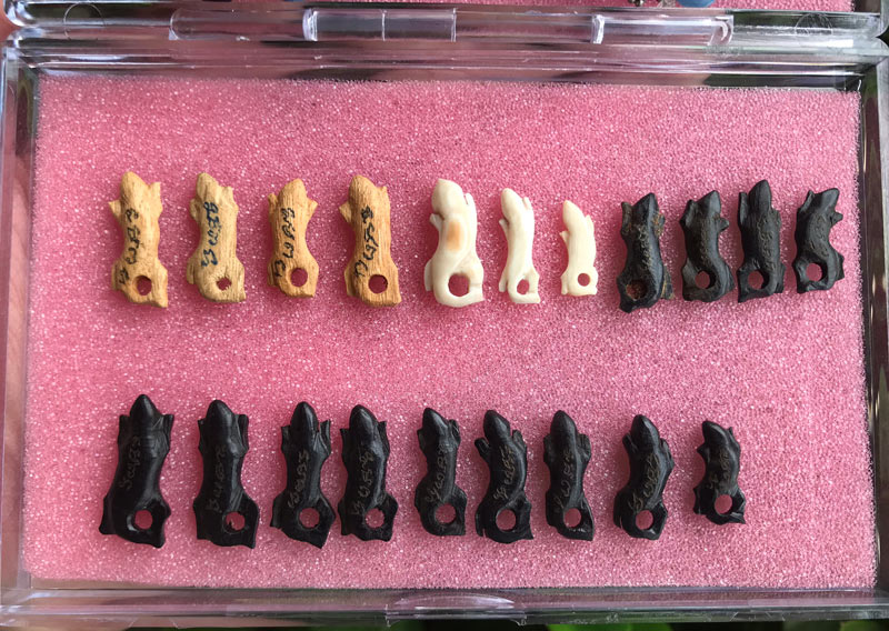 จิ้งจกหลวงปู่หน่าย วัดบ้านแจ้ง ศิลป์พิจิตร - 4