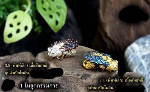 แมลงภู่คำ วัดบ้านหลวง ลำปาง - 1