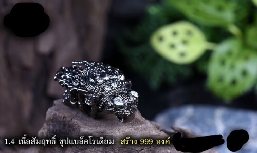 แมลงภู่คำ วัดบ้านหลวง ลำปาง - 1