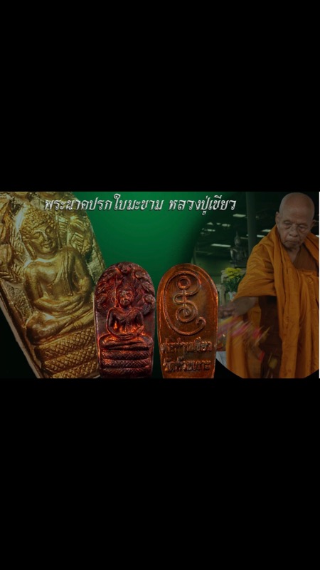 เหรียญนาคปรกใบมะขามรุ่นแรกหลวงปู่เขียววัดห้วยเงาะ จ.ปัตตานี ปี2543 - 3