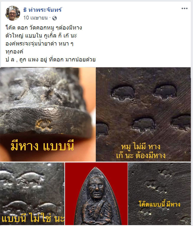 หลวงปู่ทวดพิมพ์หลังเตารีด พิมพ์ใหญ่A ปี05 วัดคอกหมู (องค์18)โค๊ดหมู1ตัว พิธีเดียวกับวัดช้างให้+บัตรฯ - 4