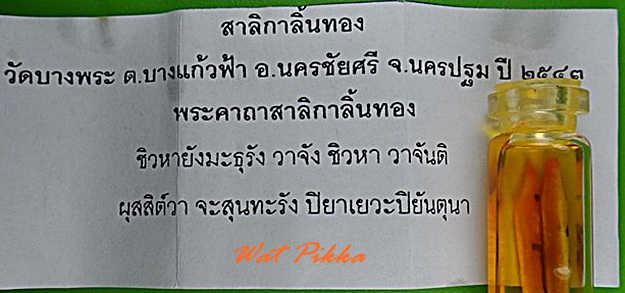 กุมารทองคะนองฤทธิ์(รัก-ยม) หลวงพ่อเปิ่น วัดบางพระ นครปฐม - 3